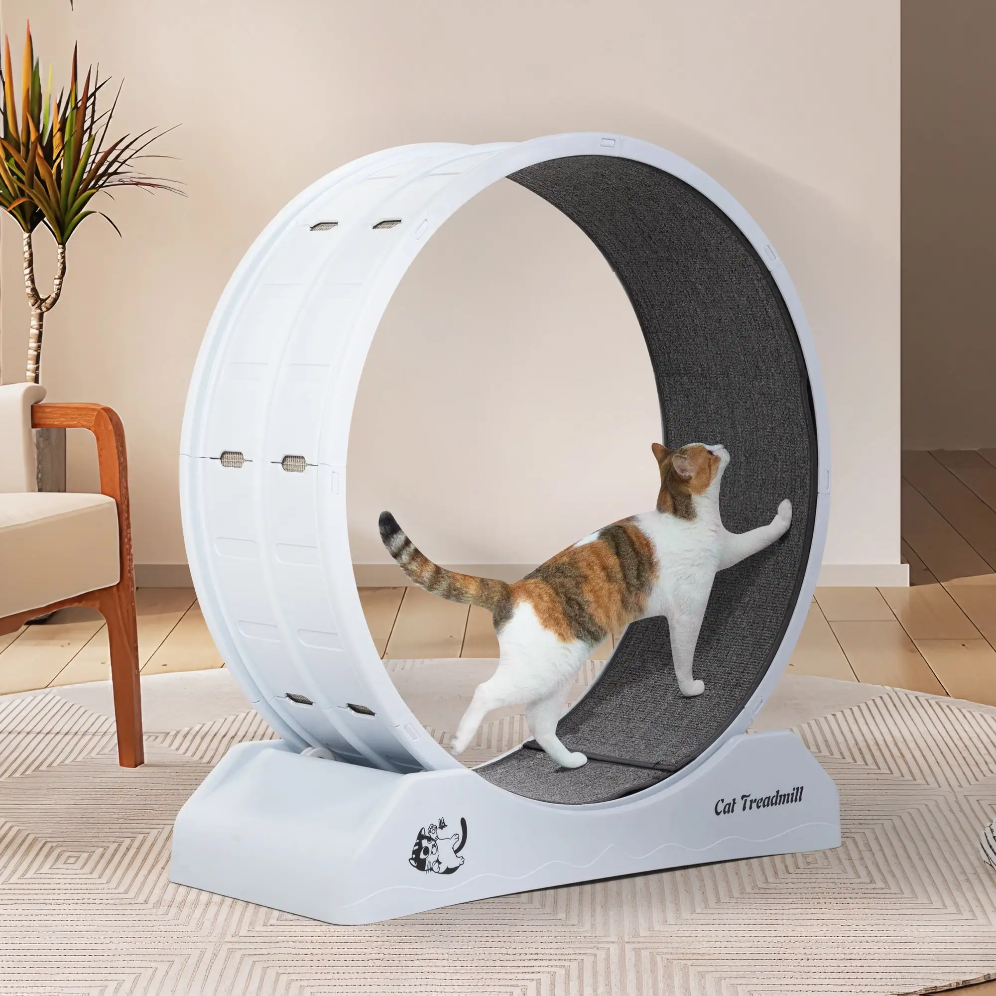 XGeek Cat Running Wheel. Indoor Animal Exercise Treadmill with Locking Mechanism and Carpet. Cat Teaser Toy. Gray