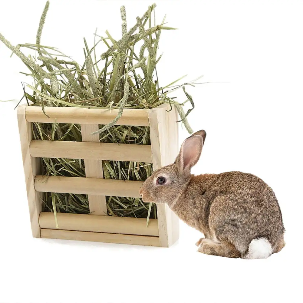 Xinhuadsh Rabbit Fodder Hay Feeder Manger Rack Stand Food Bowl Guinea Pig Pet Grass Holder