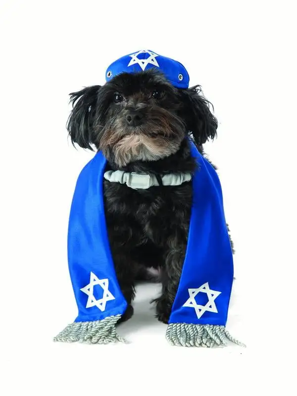 Yarmulke & Tallis Pet Costume