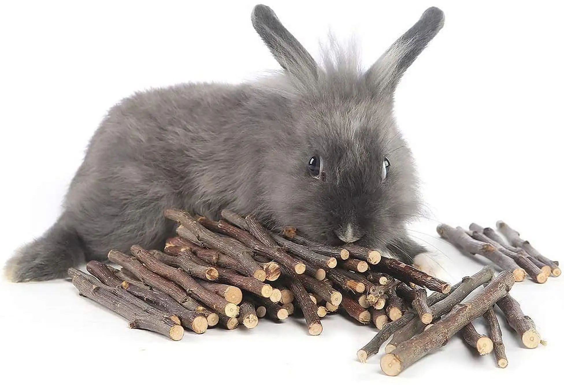 Yirtree 20/40/60Pcs Natural Apple Sticks Small Animals Molar Wood Treats Toys Chinchilla Guinea Pig Hamster Rabbit Gerbil Parrot Bunny and Small Animals Chew Stick Toys Treats