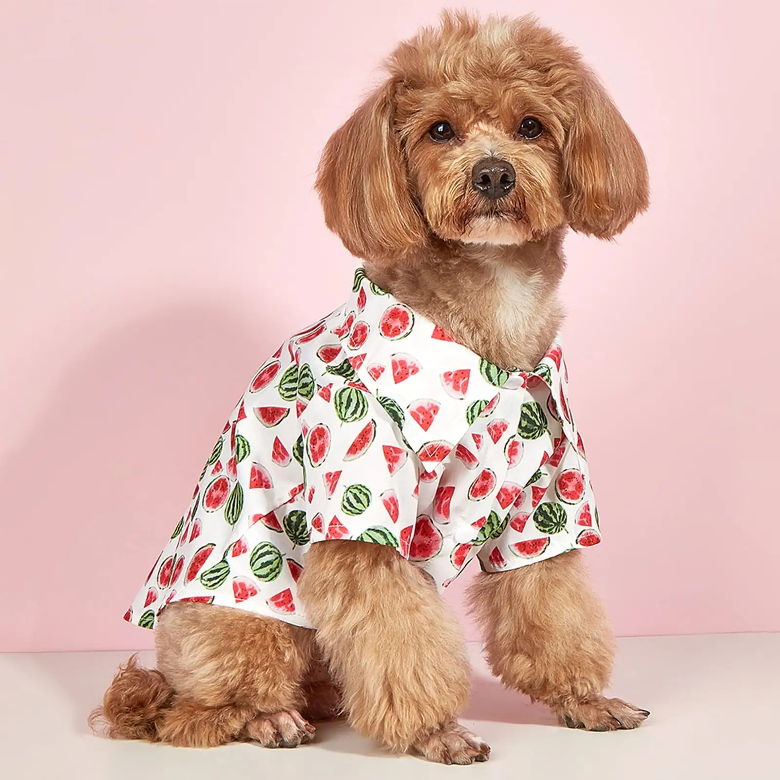 Yirtree Dog T-shirt Button Closure Lapel Collar Adorable Watermelon Print Summer Pet Dog Cat Two-legged Blouse Pet Supplies