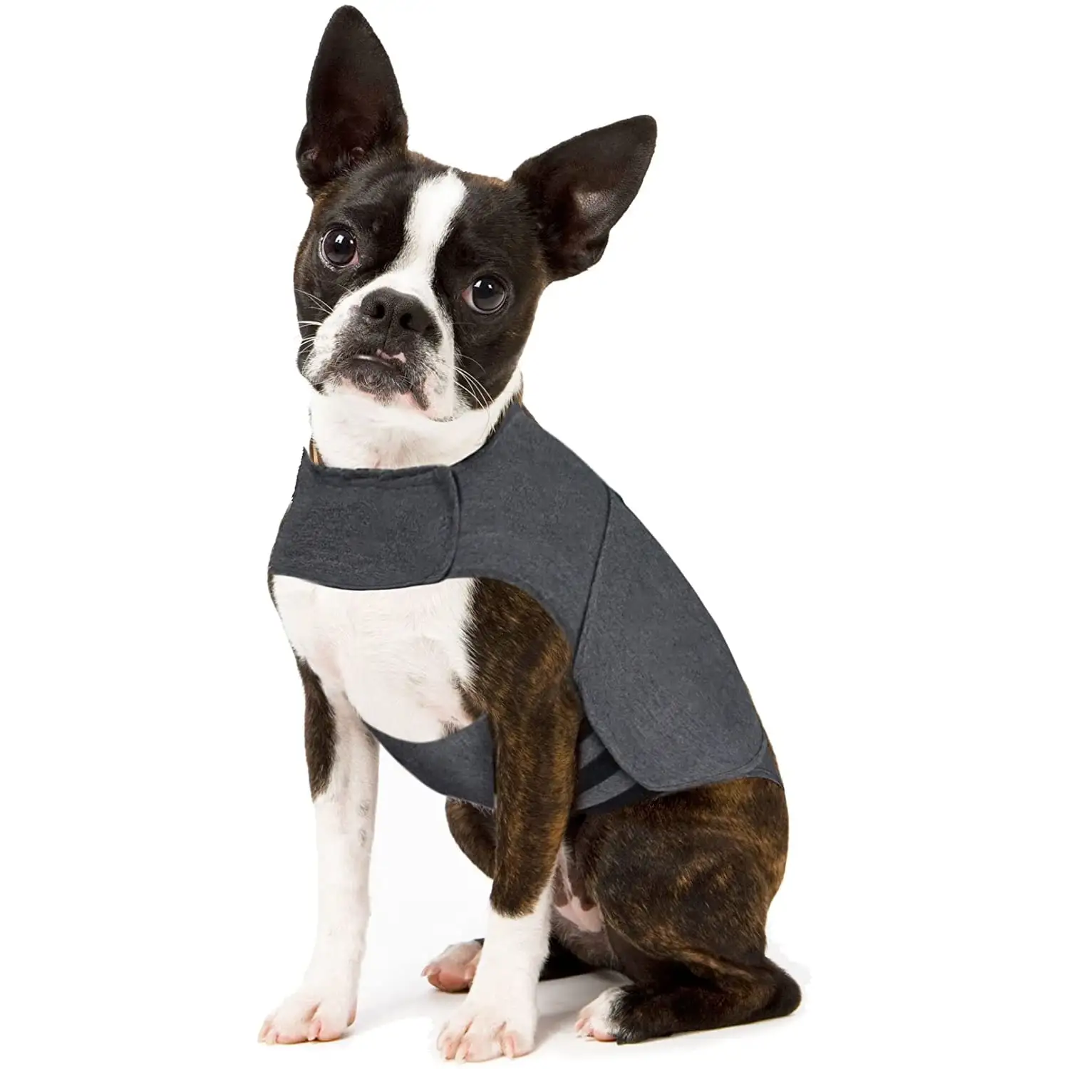 Yorcoten Classic Polo Dog Anxiety Jacket . Vet Recommended Calming Solution Vest for Fireworks. Thunder. Travel & Separation