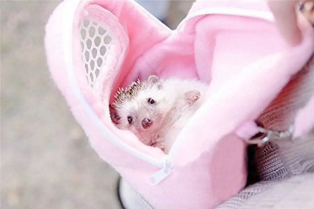 Yosoo 1 PCS Portable African Hedgehog Hamster Breathable Pet dog Carrier Bags Handbags Puppy Cat Travel Backpack