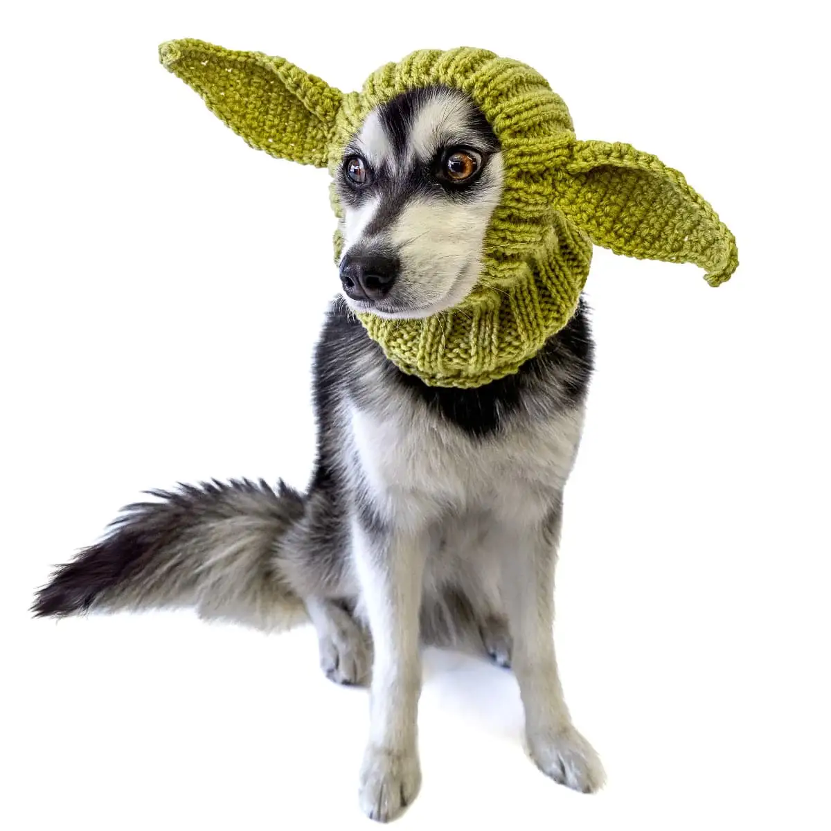 Zoo Snoods Baby Yoda Mandalorian Dog Costume - Alien Green Hoodie with Stretchy Headband Snood. Medium Size for Party Hat Dog Ears Outfit. Anxiety Coat