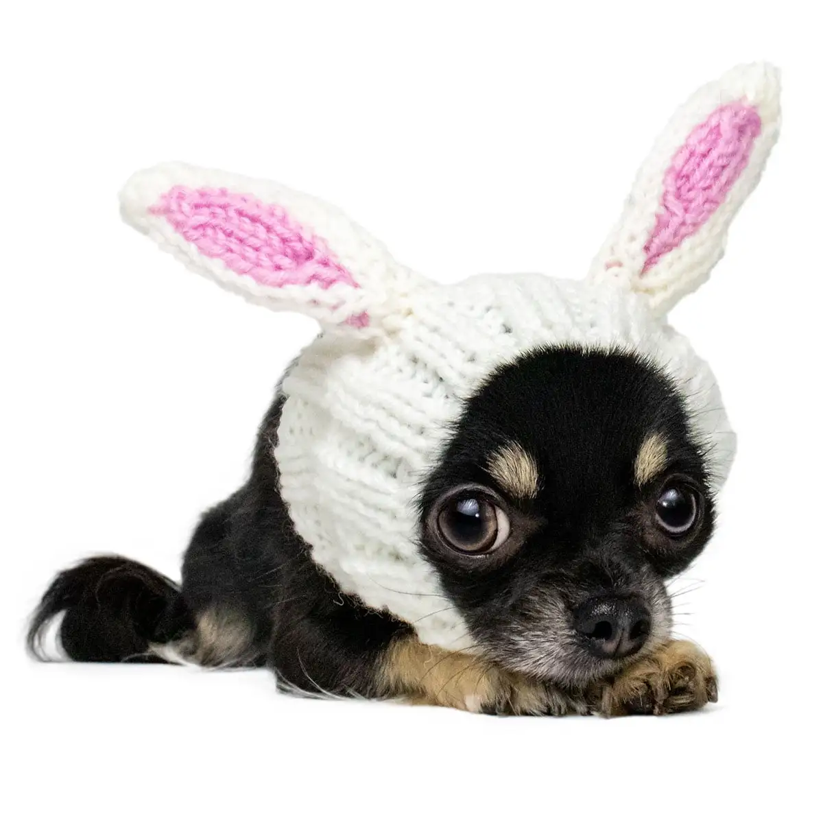 Zoo Snoods White Fluffy Bunny Rabbit Dog Hoodie - Warm No Flap Ear Wrap Headpiece for Pets. Cute Dog Outfit with Ears. Soft Yarn Ear Covers. Dog Pajamas & Sweaters. Ideal for Everyday Wear_Small Size