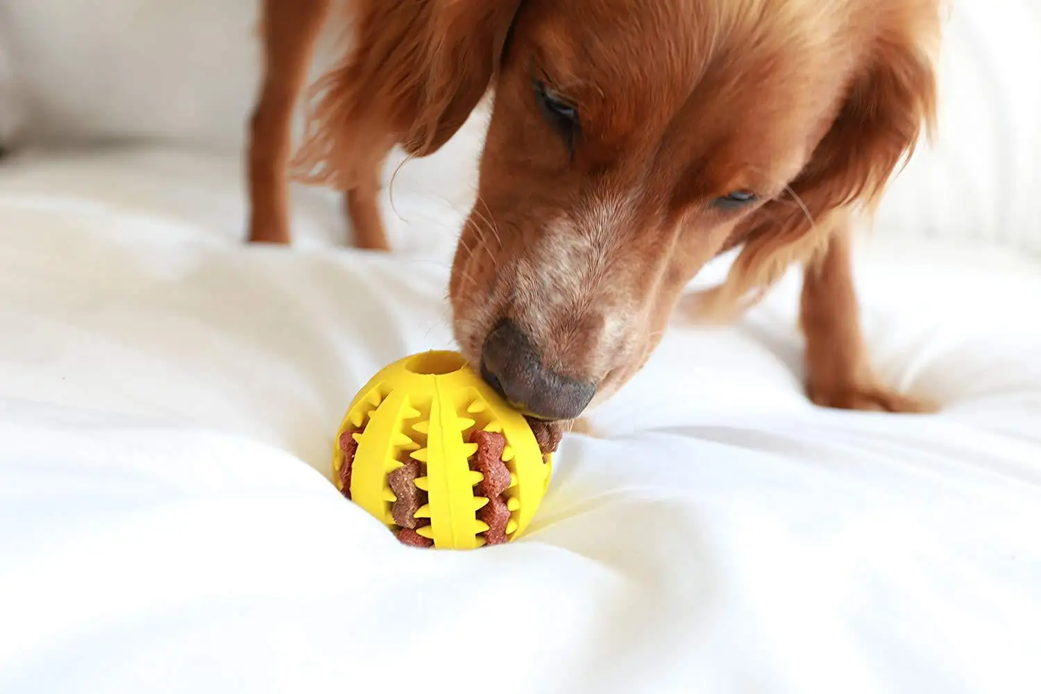 Dog Teething Toy. Dog Fetch Ball Spike Ball Rubber Interactive Training with Dog Snacks Treats. Dog Chew Toy for Aggressive Chewer Small Medium Dog