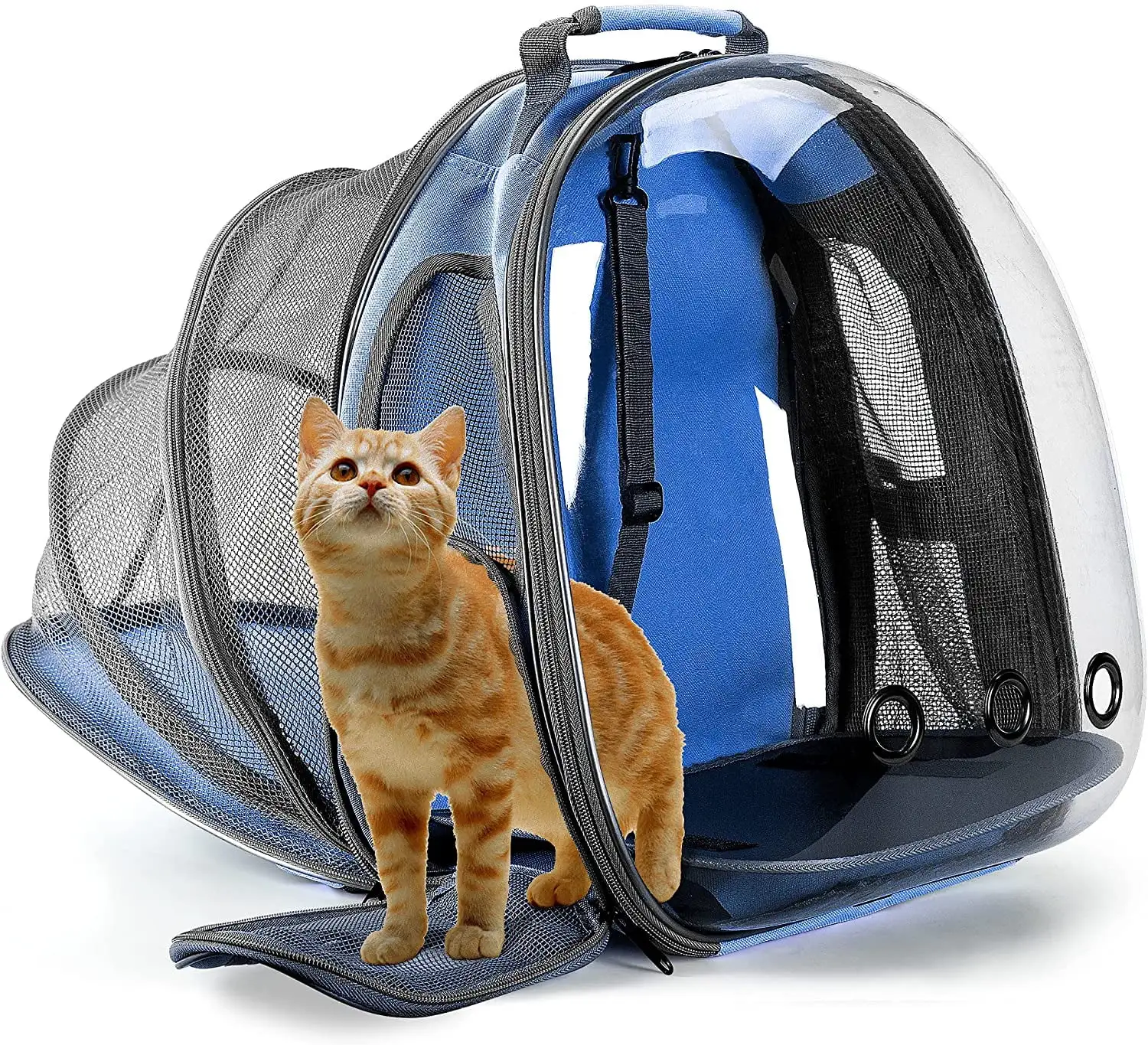 EastVita Pet Backpack. Bubble Bag for Cats and Puppies. Airline Approved Capsule Design Pet Carrier. Suitable for Outdoor Use