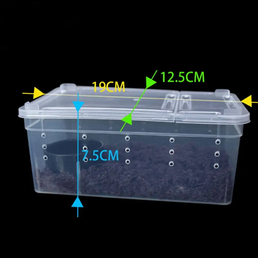 HiMiss Transparent Feeding Box Reptile Box Amphibian for Snake Cage Lizard Spider Reptile Combination