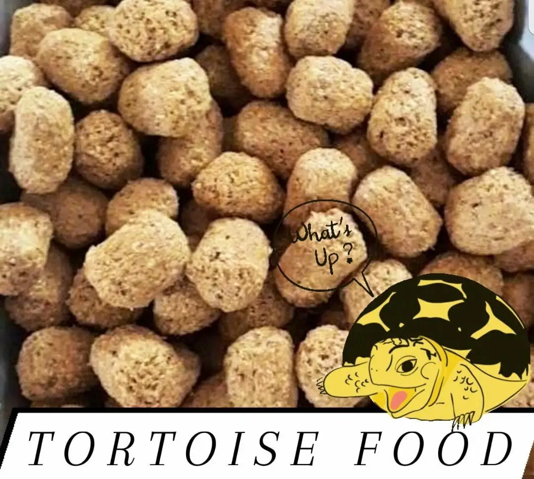 Tortoise Iguana Reptile Food DIET FRESH from bulk Choose Size!!!