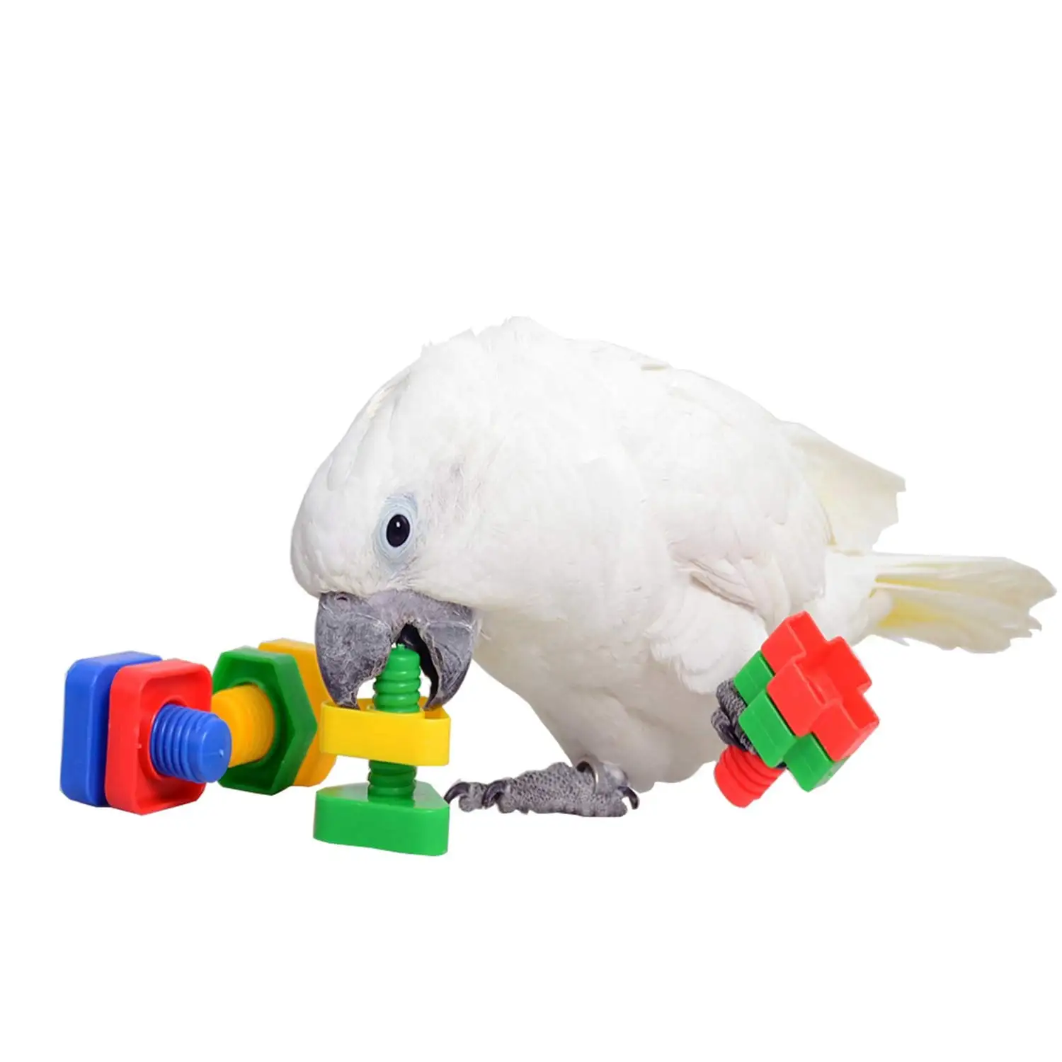 4 PCs Bird Chewer Chewing Block Toys Set .Parrots Foot Talon Screw Toys .Parakeet Coloured Plastic Nuts Bolts Shaped Toy .Bird Cage Playpen Play Gym Grinding Beak Toy for Cockatiel African Grey Cockatoo