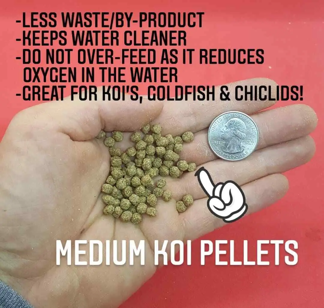 BEST Koi Goldfish Fish Food Floating Pond Pellets Medium or Lrg *CHOOSE*