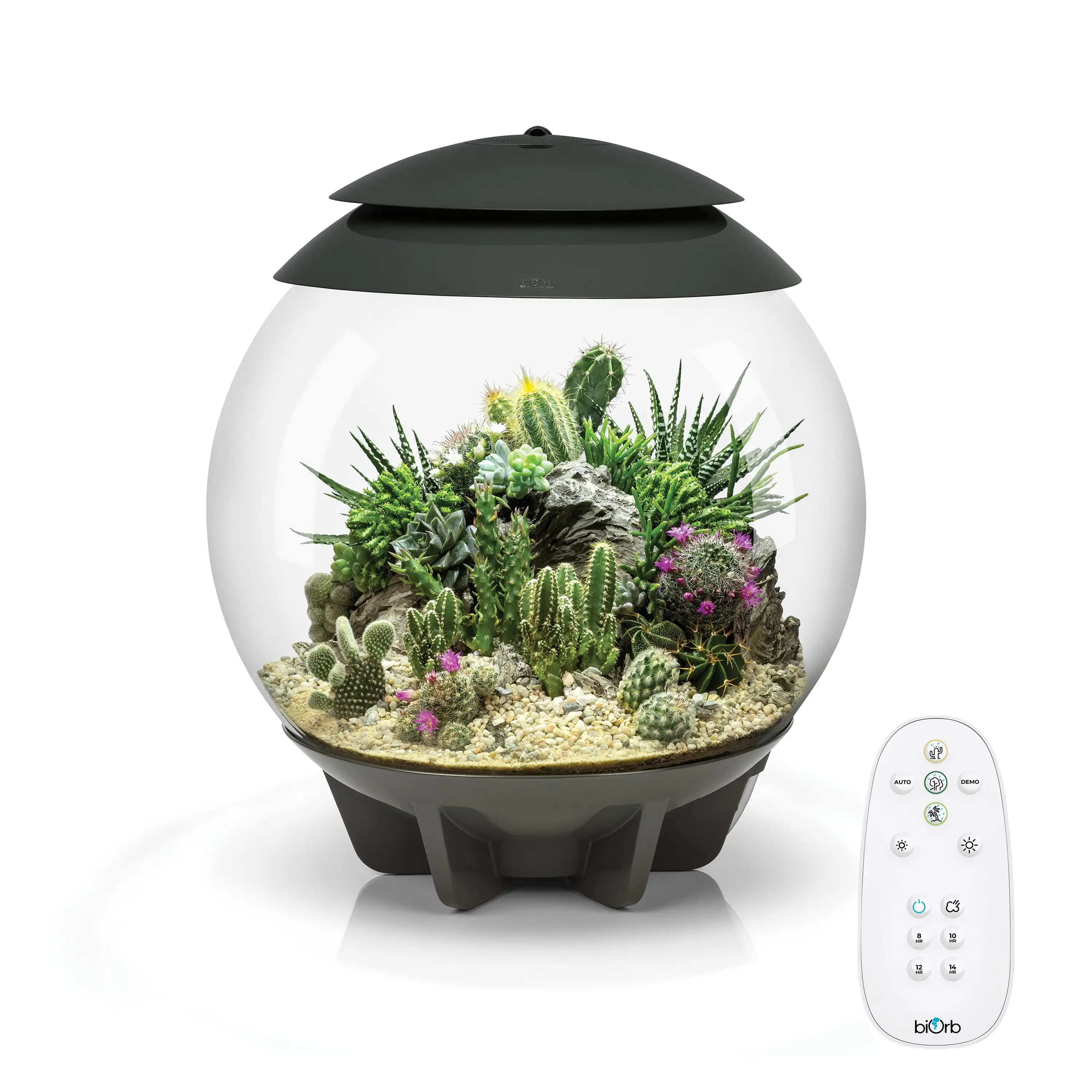 biOrb AIR 30 Terrarium - Grey