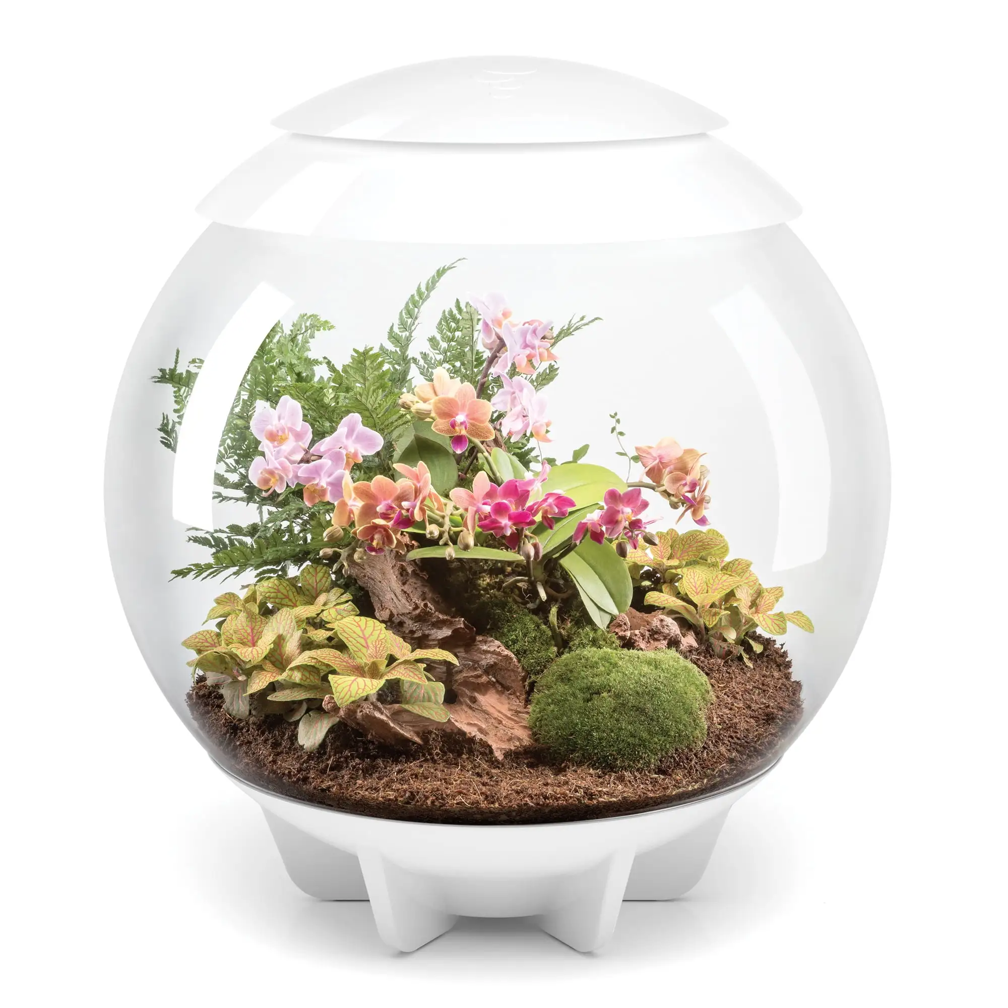 biOrb AIR 60 LED Terrarium With LED Lights - Acrylic. White