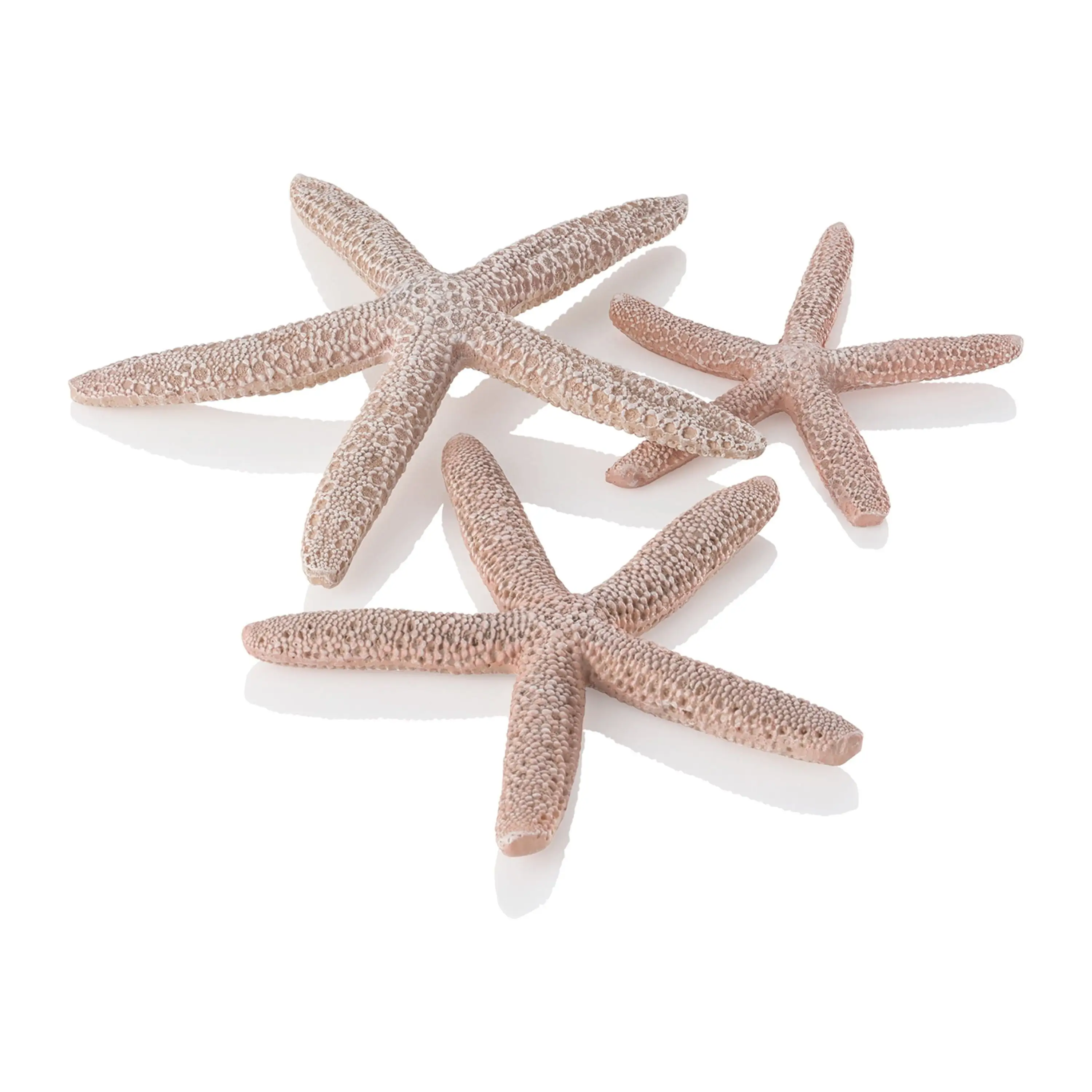 biOrb Natural Starfish Set