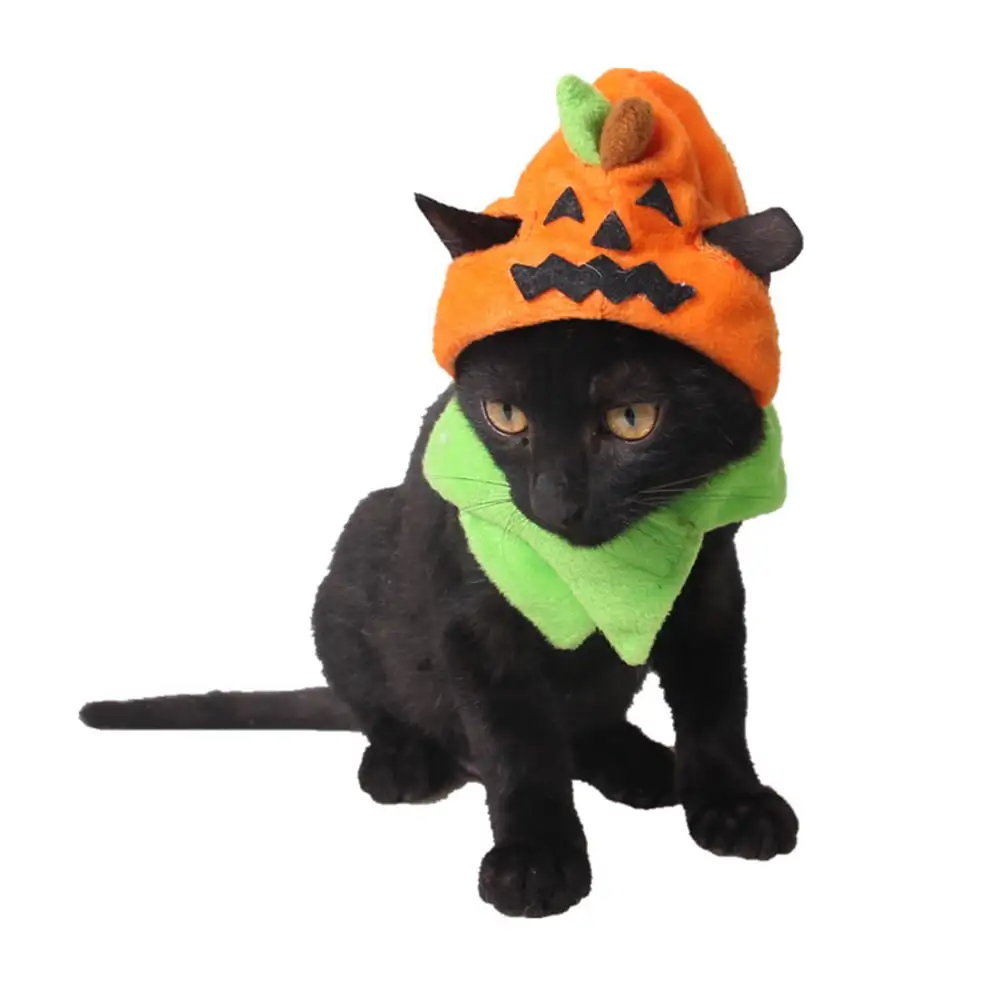 Travelwant Halloween Pumpkin Cat Hat Cat Cosplay Costume Cap Kitty Cat Collar Costume