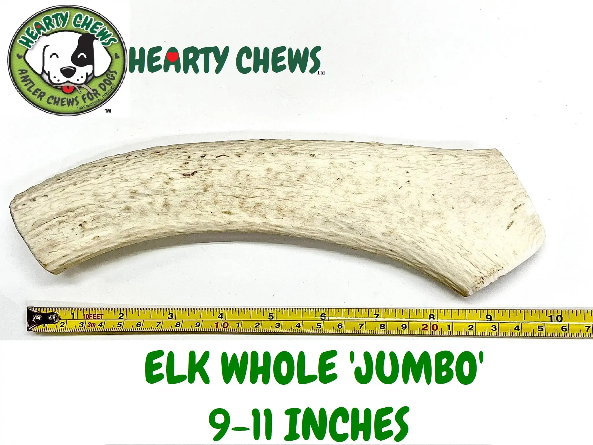 Hearty Chews - Premium ELK Antler for Dogs. Naturally Shed. 100% Organic Grade A Antler Dog Chew Bone. Great Teeth Cleaner. Long Lasting Treat for your Puppy & Dog - JUMBO (About 9-11 inches)