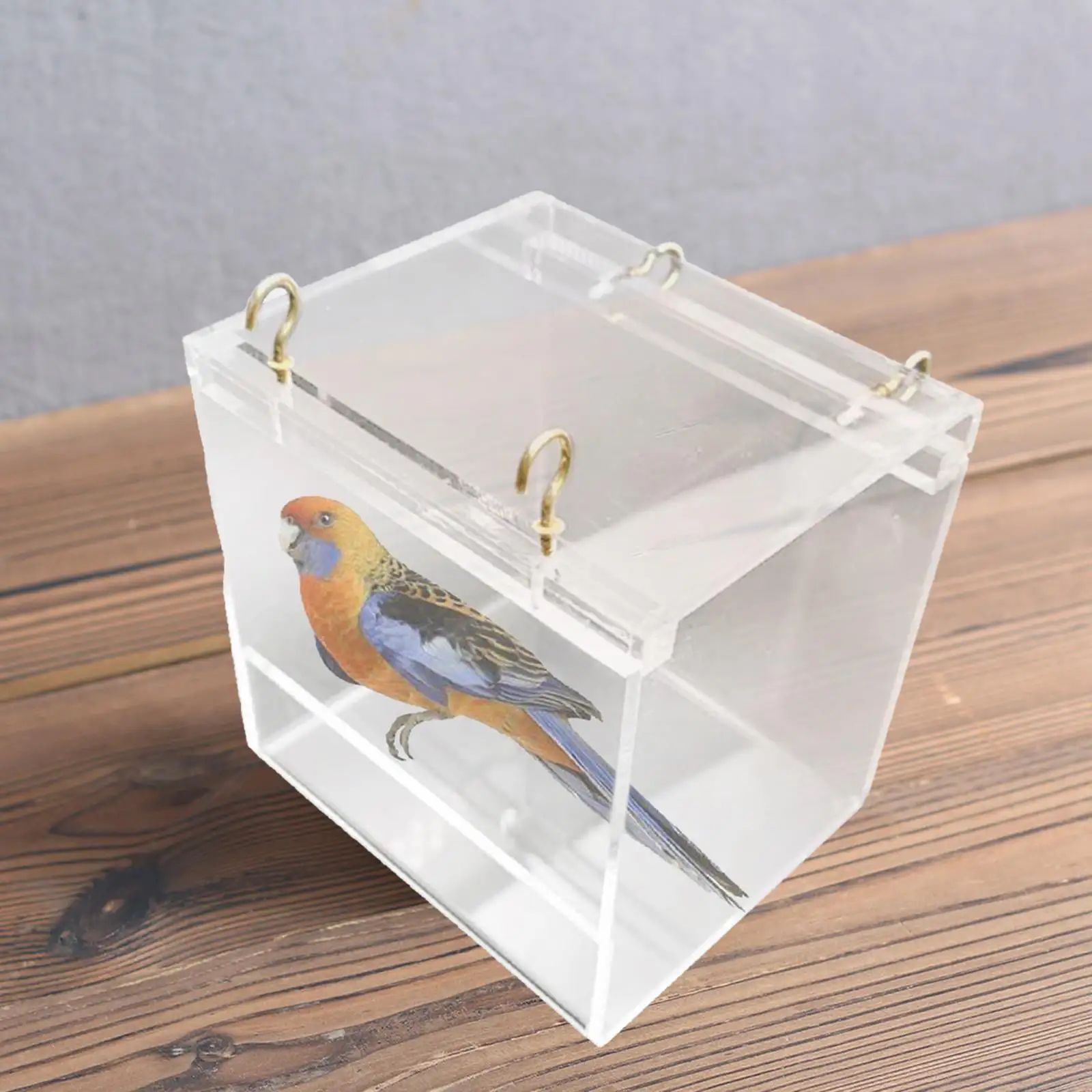 Bird Bath Cage Little Acrylic with Hanging Hook Transparent for Parakeet Most Cage Accessories - Small