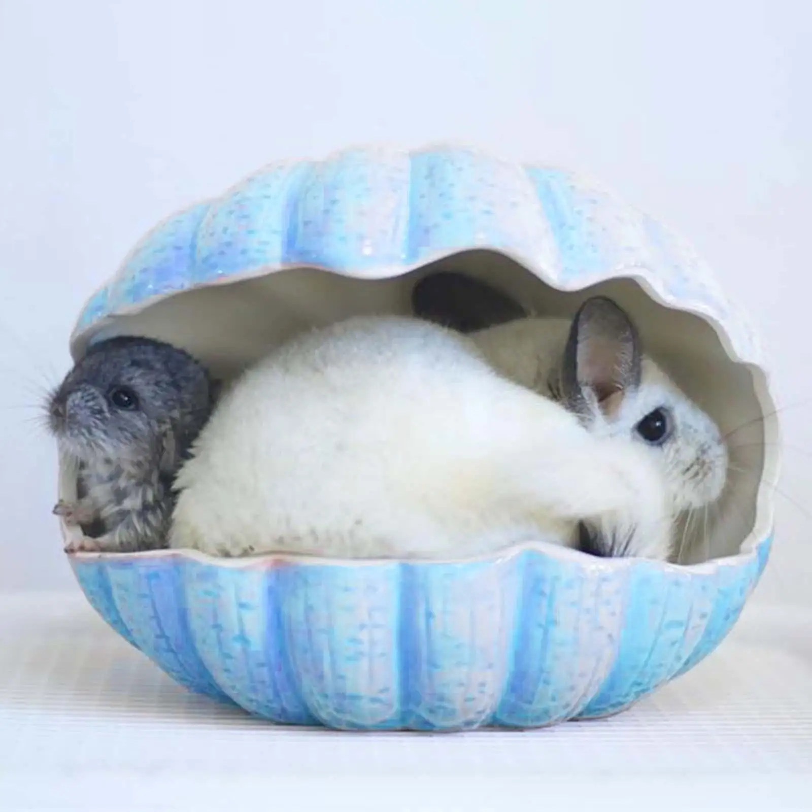 Rabbit Bed. Chinchilla Cave Bed. Shell Shaped Habitat Decor Bunny Bed. Hamster Ceramic Nest for Bunny. Chinchilla. Hedgehog. Rat Pet Supplies Blue