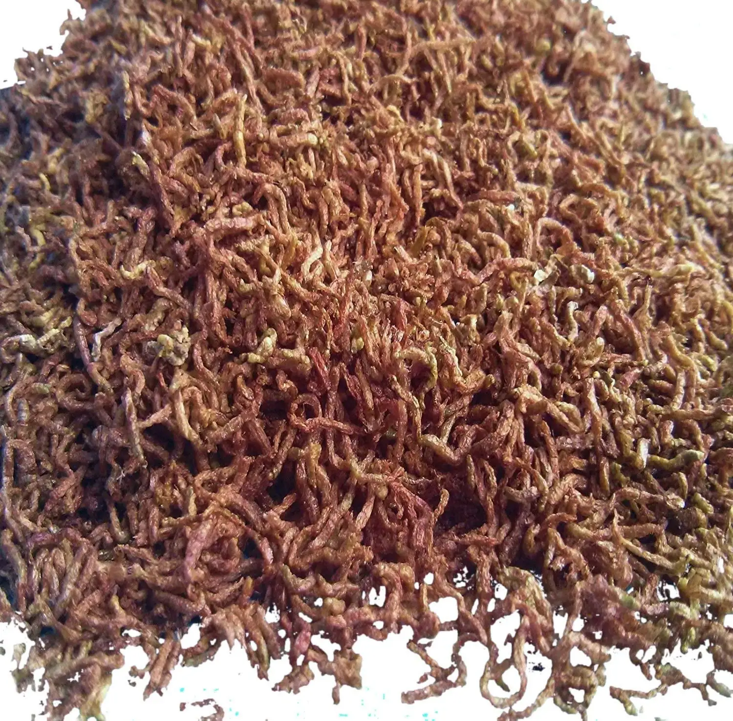 Aquatic Foods Freeze Dried Bloodworms. Clean Fresh Grade A Bloodworms - 1/2-lb