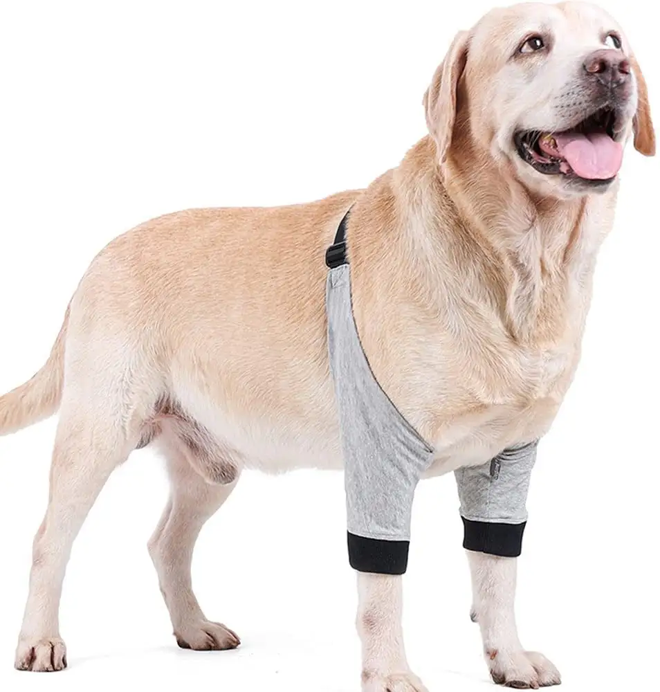 BT Bear Dog Front Leg Braces Recovery Sleeve Protector Pet Knee Brace Wounds for Medium Large Dog S