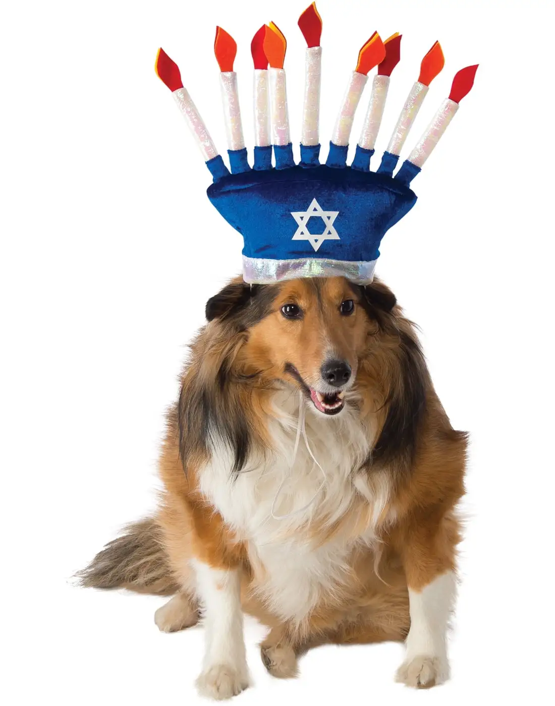 Blue Menorah Chanukah Pet Dog Cat Hanukkah Costume Hat-M-L