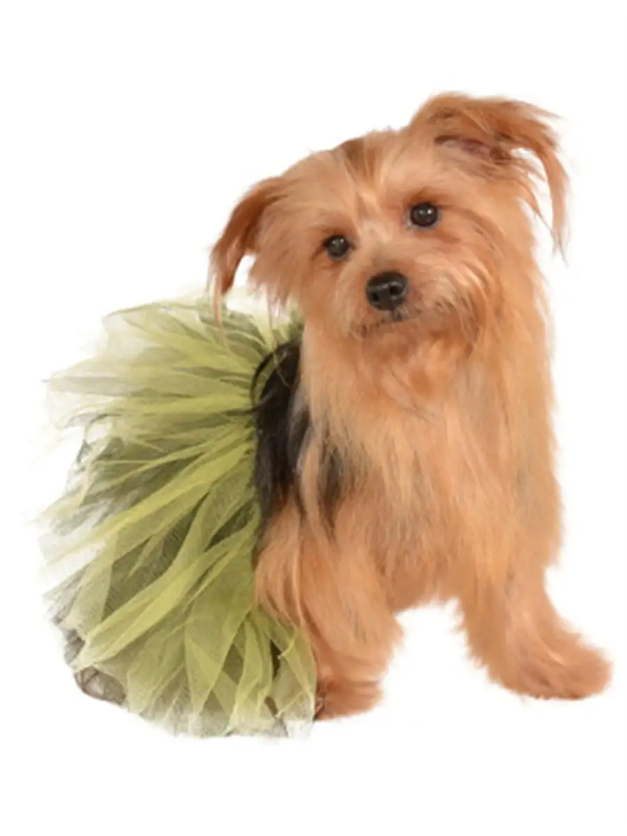 Rubies Costume Co Small Medium Black Yellow Princess Bumblebee Ballet Tutu Skirt For Pet Dog