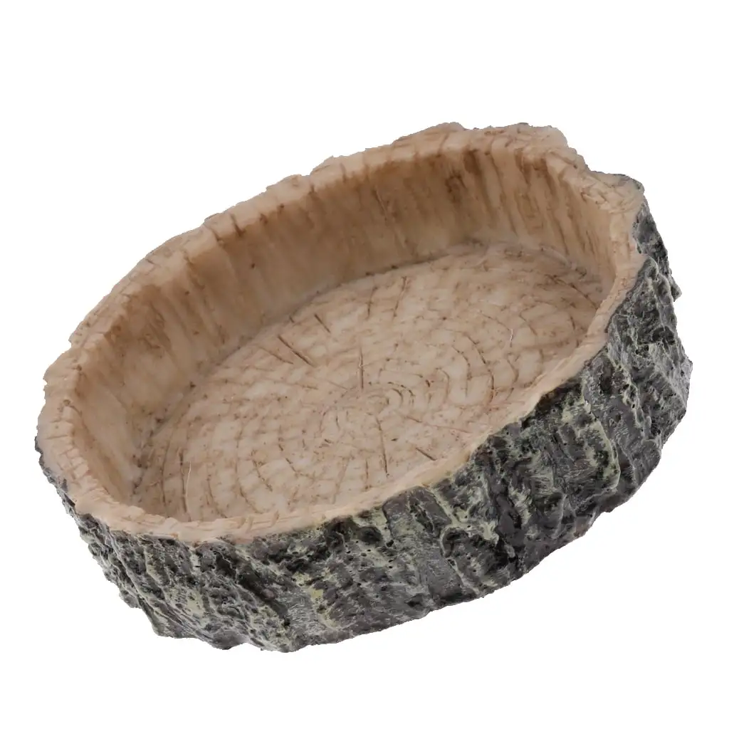 Reptile Food Dish. for Pet Reptile Type 2