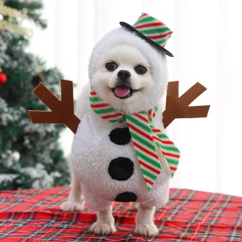 Dog Snowman Costume