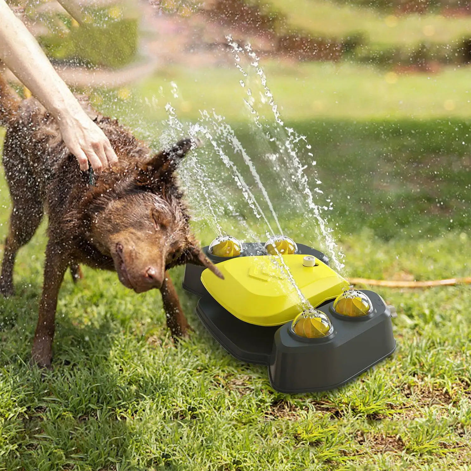 iMounTEK Dog Step On Paw Activated Sprinkler. Dog Water Fountain for Drinking Fresh Water. Yellow