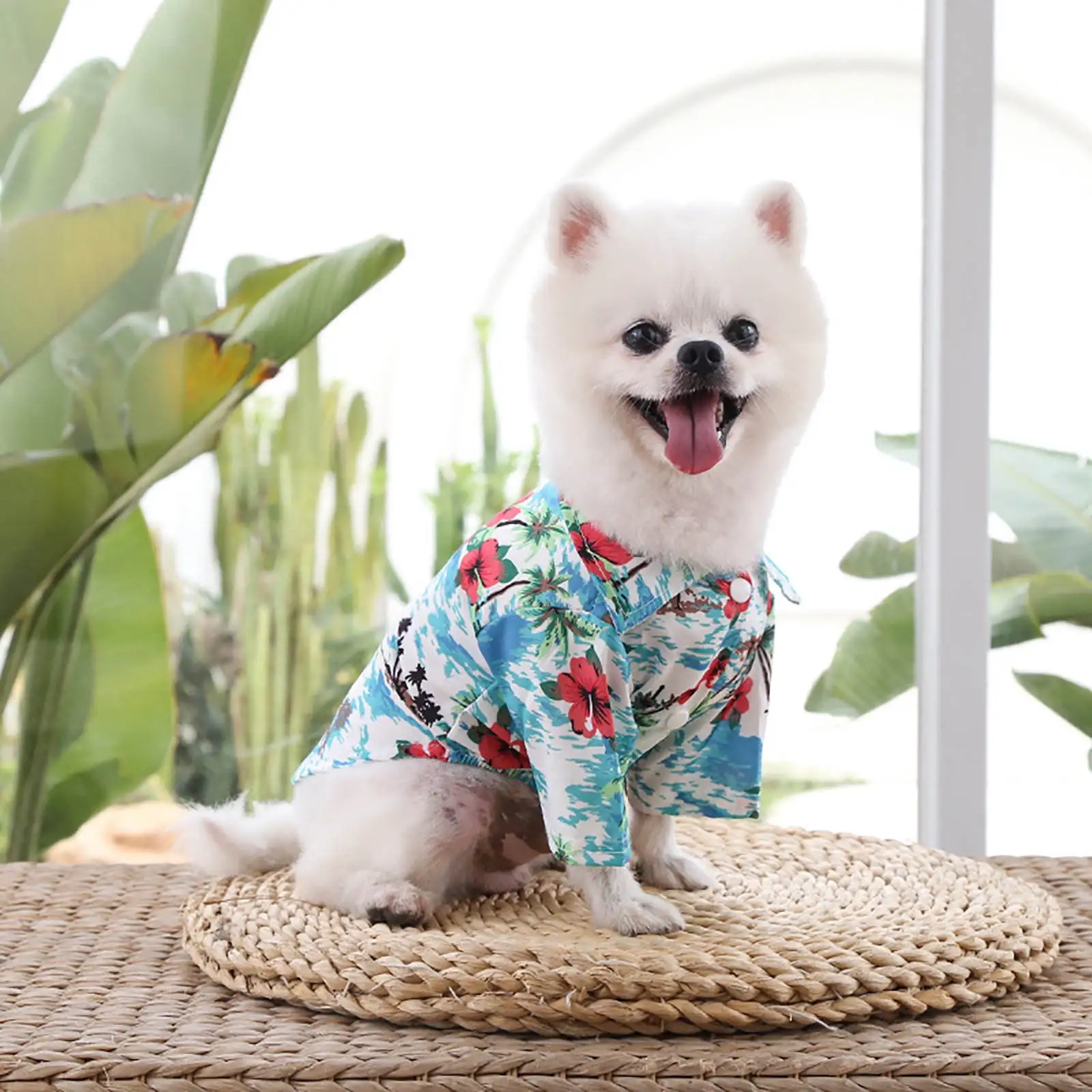 iOPQO Pet Sweater Cats And Pet Summer T Shirts Hawaii Style Floral Dog Shirt Hawaiian Printed Pet T Shirts Breathable Cool Clothes Beach Seaside Puppy Shirt Sweatshirt For Small Puppy Green L