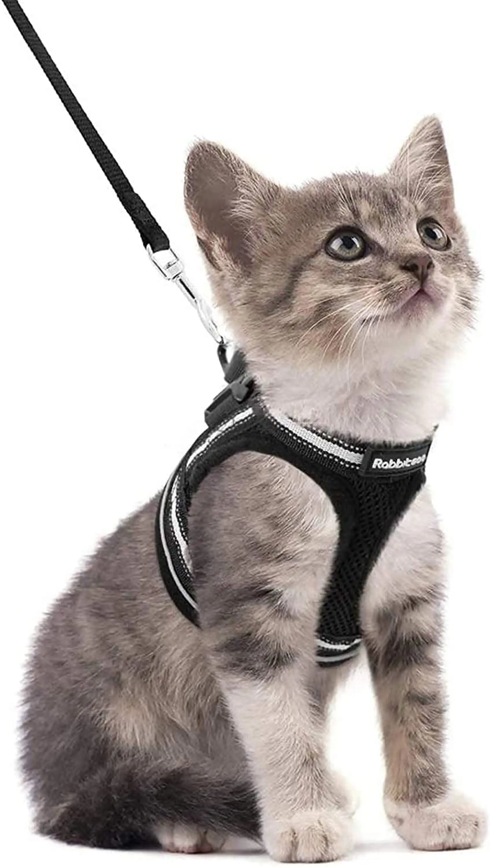 rabbitgoo Cat Harness and Leash Set for Walking Escape Proof. Adjustable Soft Kittens Vest with Reflective Strip for Small Cats. Comfortable Outdoor Vest. Black