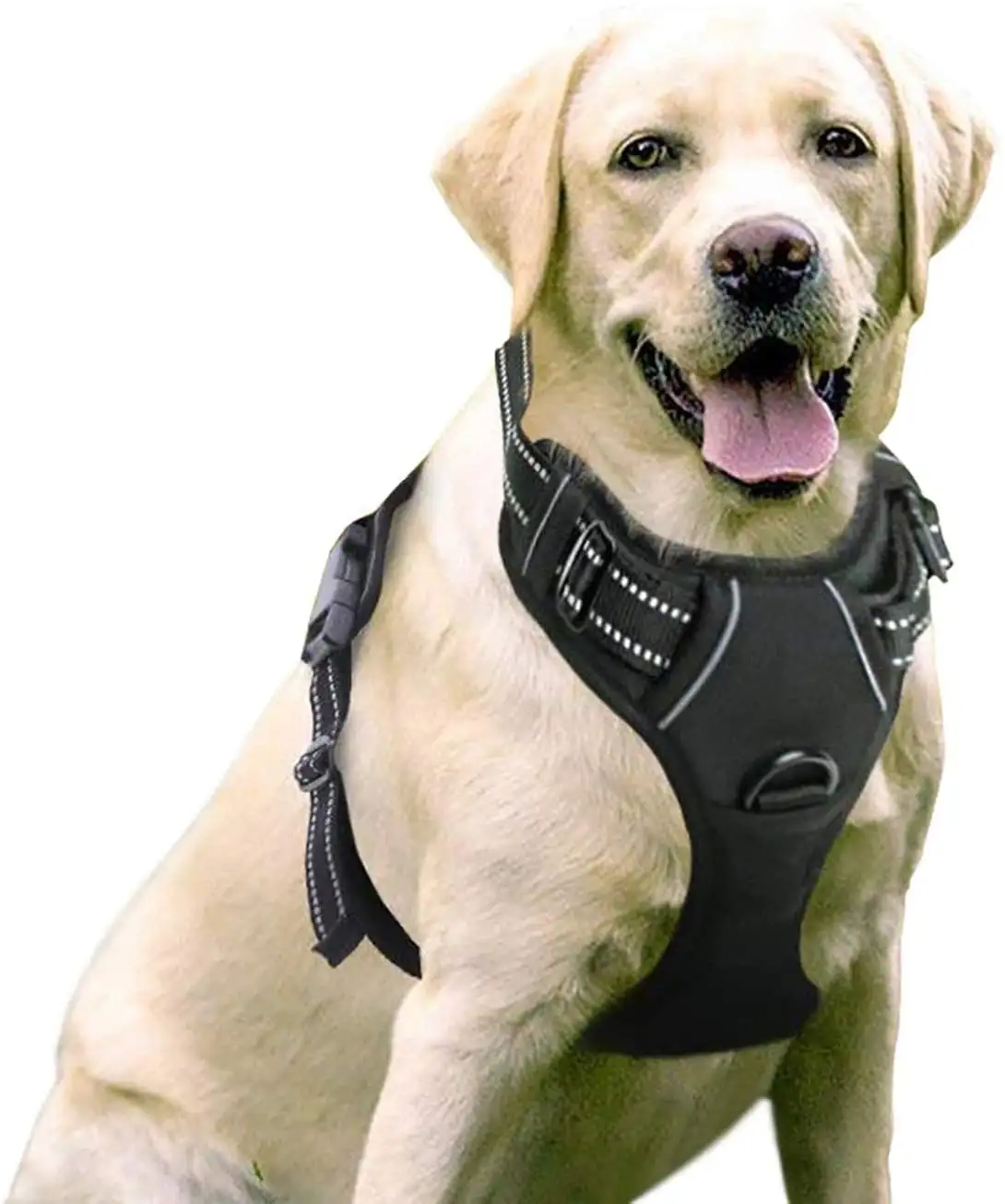 rabbitgoo Dog Harness. No-Pull Pet Harness with 2 Leash Clips. Adjustable Soft Padded Dog Vest. Reflective Outdoor Pet Oxford Vest with Easy Control Handle for Large Dogs. Black